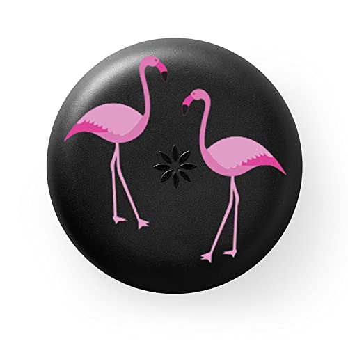 INVISALIGN Aligner und Haltergehäuse, Flamingos