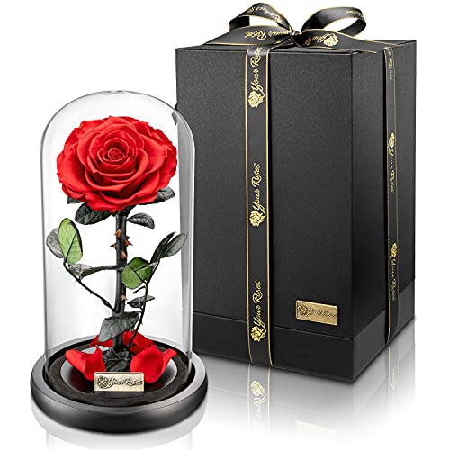 YourRoses® echte Premium Rose im Glas Geschenkbox...