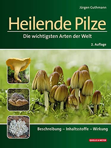 Heilende Pilze: Die wichtigsten Arten der Welt....